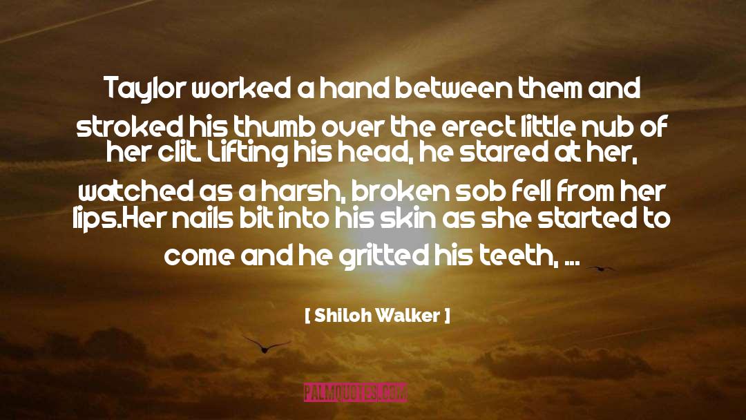 Shiloh Walker Quotes: Taylor worked a hand between