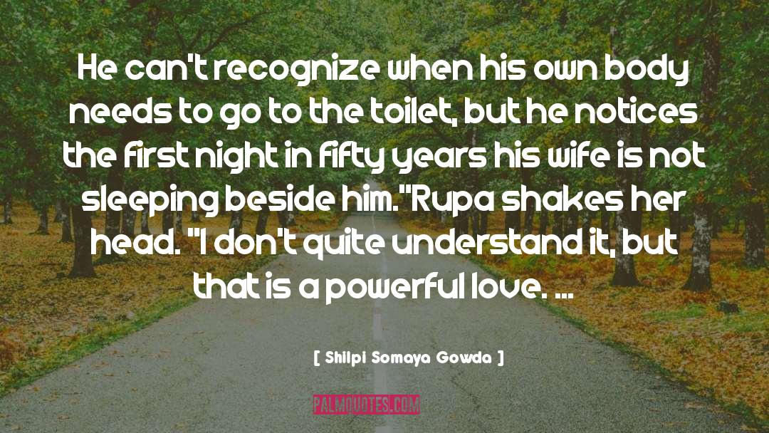 Shilpi Somaya Gowda Quotes: He can't recognize when his