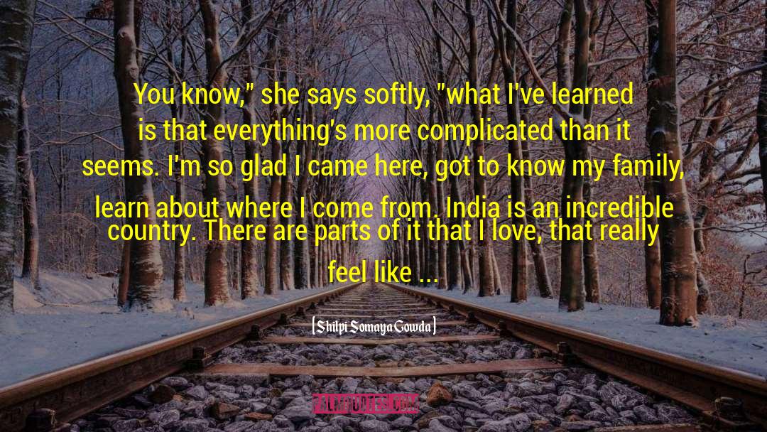 Shilpi Somaya Gowda Quotes: You know,