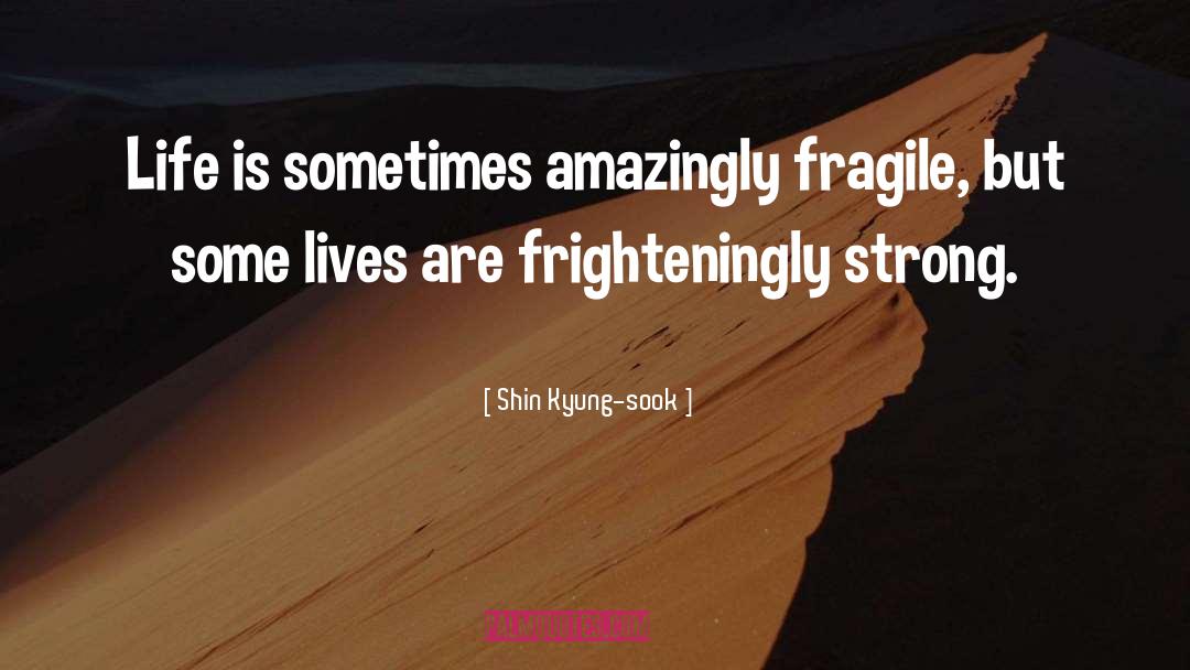 Shin Kyung-sook Quotes: Life is sometimes amazingly fragile,