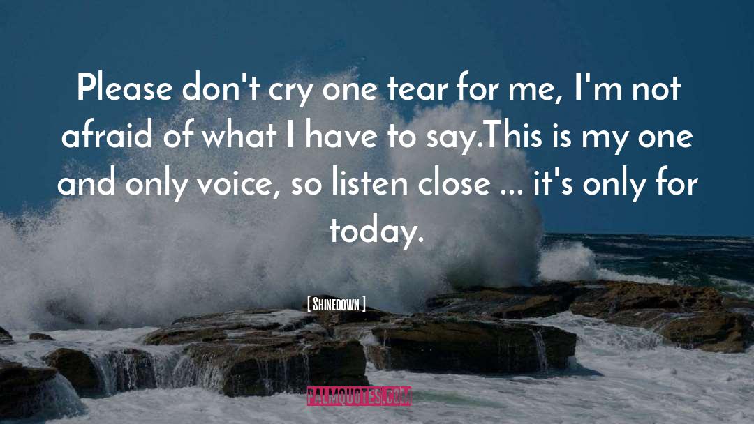 Shinedown Quotes: Please don't cry one tear
