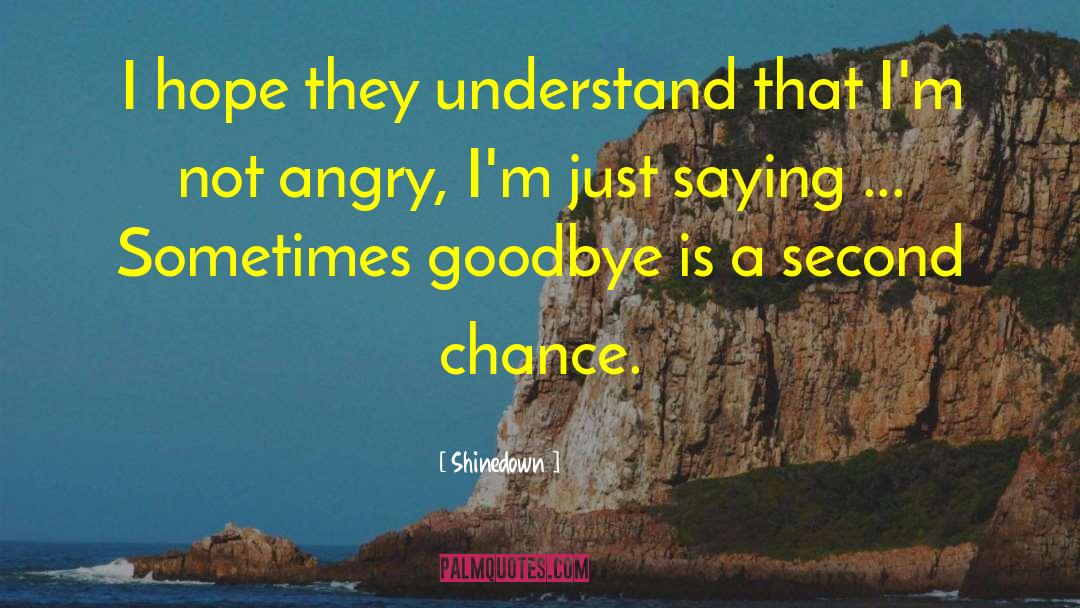 Shinedown Quotes: I hope they understand that