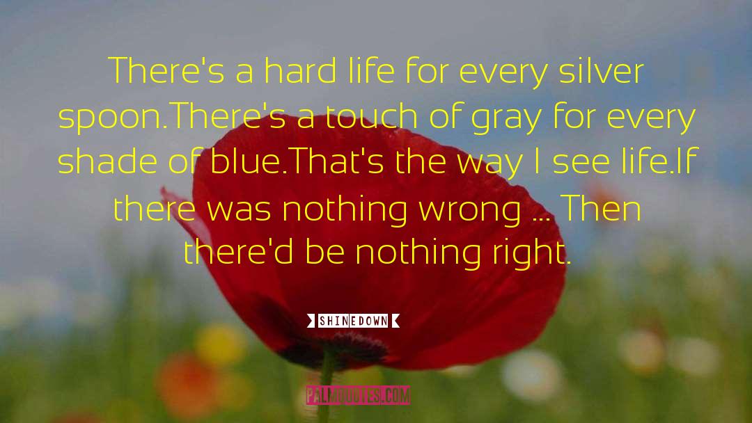 Shinedown Quotes: There's a hard life for