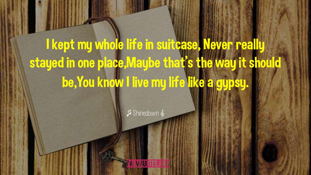 Shinedown Quotes: I kept my whole life