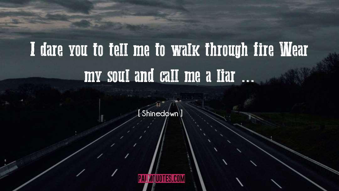 Shinedown Quotes: I dare you to tell