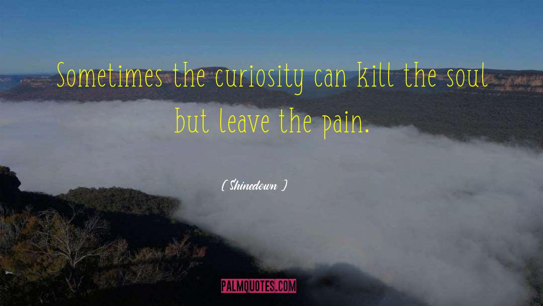 Shinedown Quotes: Sometimes the curiosity can kill