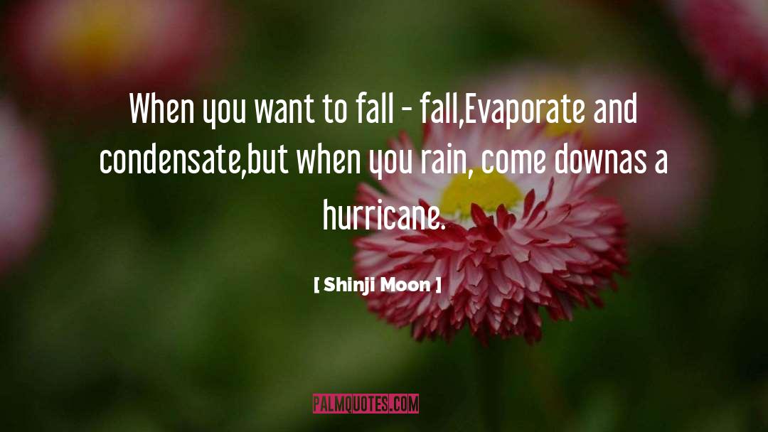 Shinji Moon Quotes: When you want to fall