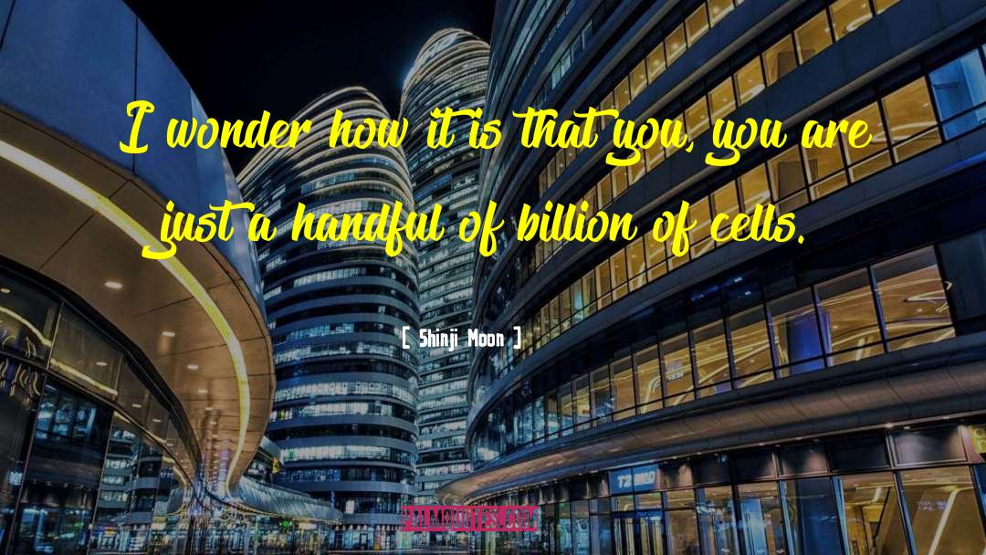 Shinji Moon Quotes: I wonder how it is