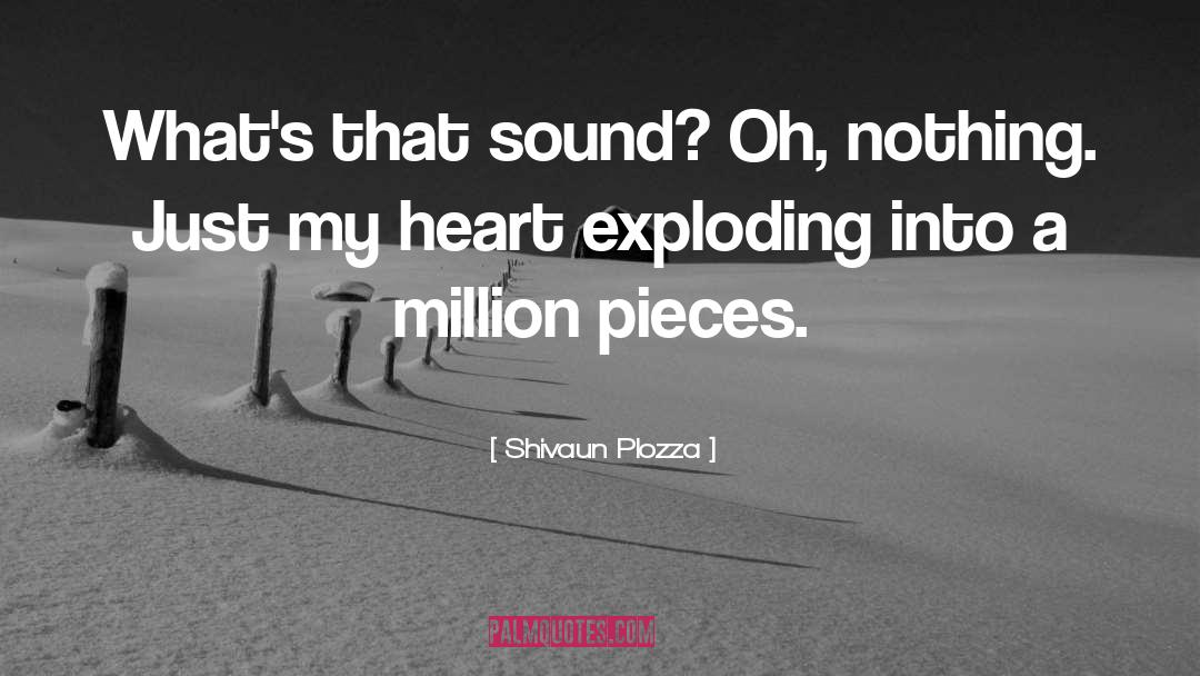 Shivaun Plozza Quotes: What's that sound? Oh, nothing.