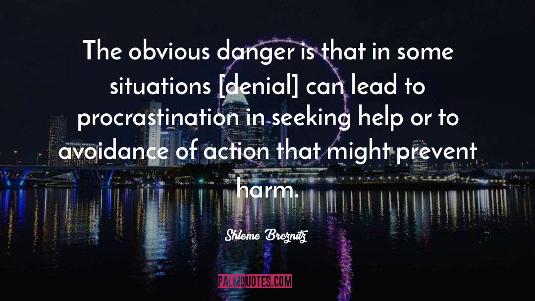 Shlomo Breznitz Quotes: The obvious danger is that