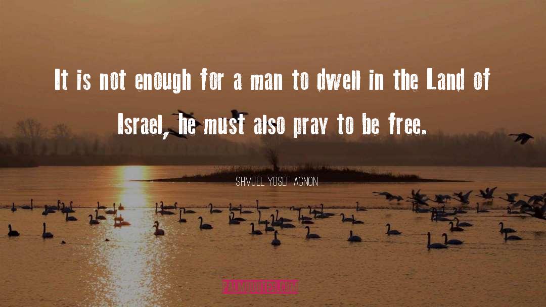 Shmuel Yosef Agnon Quotes: It is not enough for