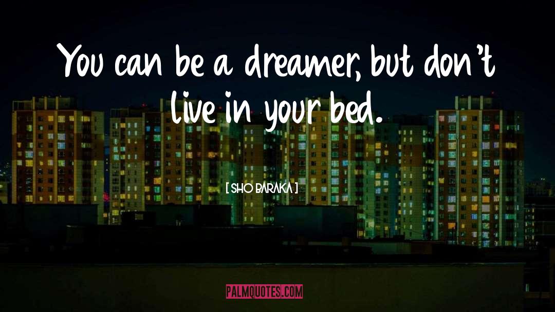 Sho Baraka Quotes: You can be a dreamer,