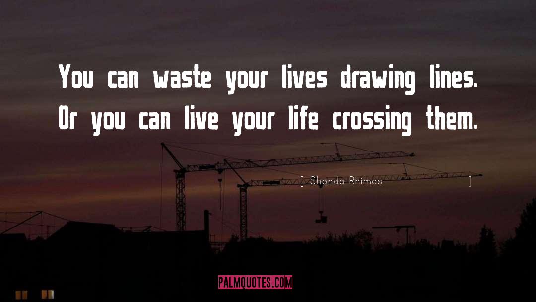 Shonda Rhimes Quotes: You can waste your lives