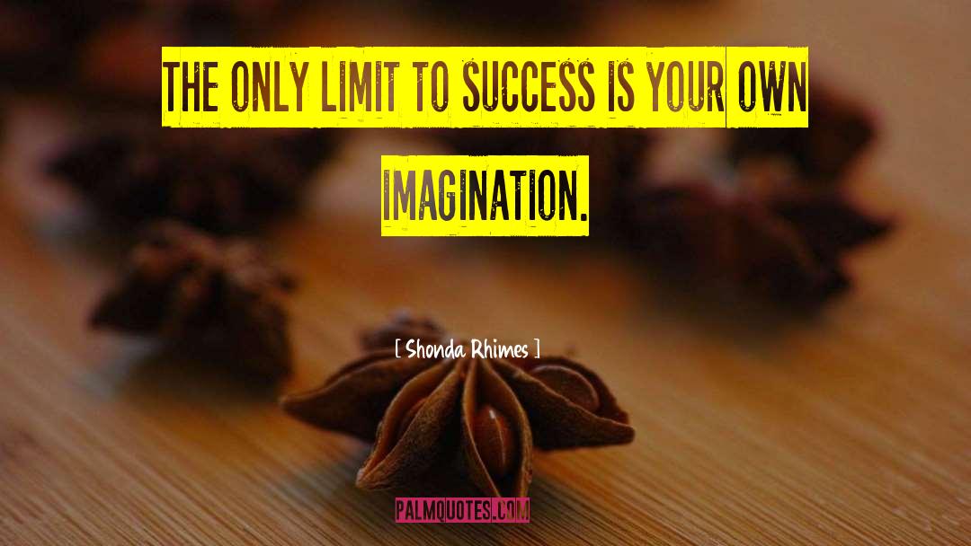 Shonda Rhimes Quotes: The only limit to success