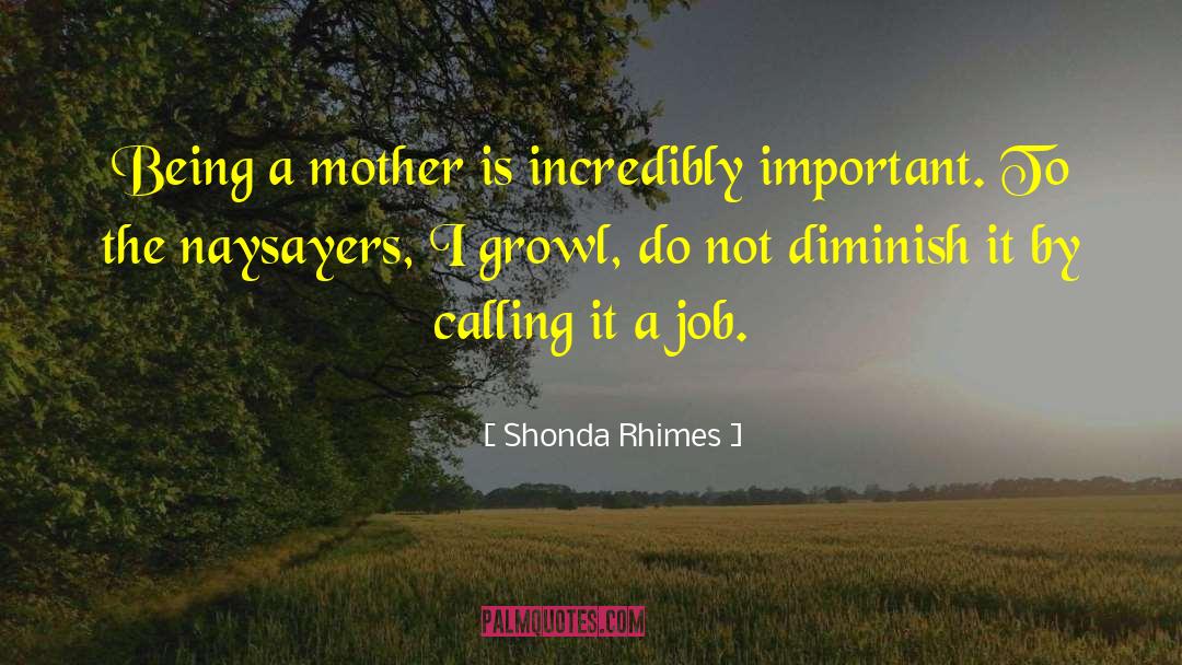 Shonda Rhimes Quotes: Being a mother is incredibly