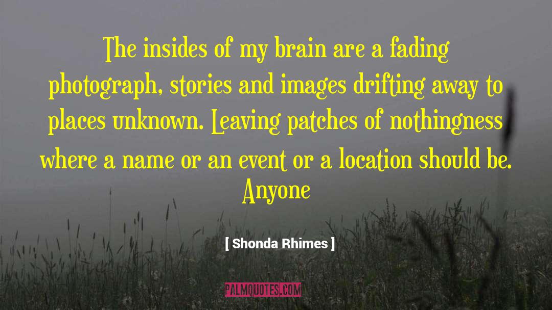 Shonda Rhimes Quotes: The insides of my brain