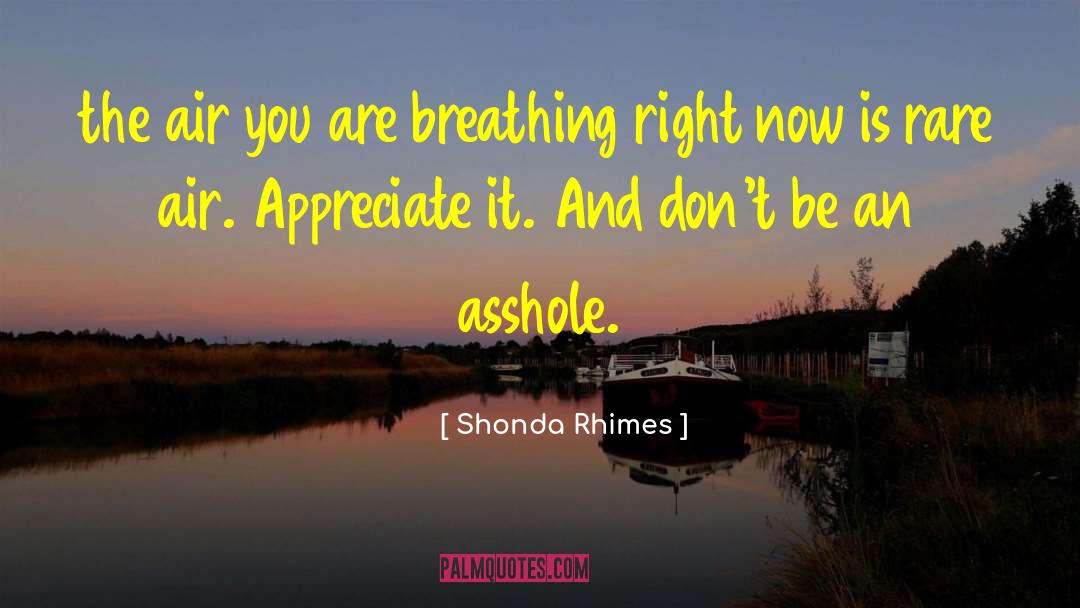 Shonda Rhimes Quotes: the air you are breathing