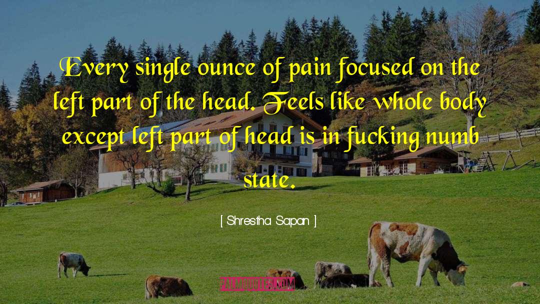 Shrestha Sapan Quotes: Every single ounce of pain