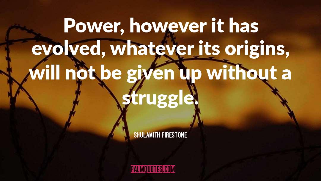 Shulamith Firestone Quotes: Power, however it has evolved,