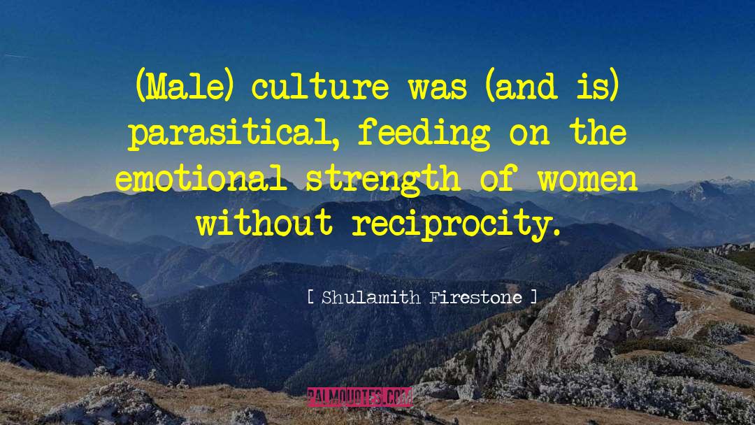Shulamith Firestone Quotes: (Male) culture was (and is)