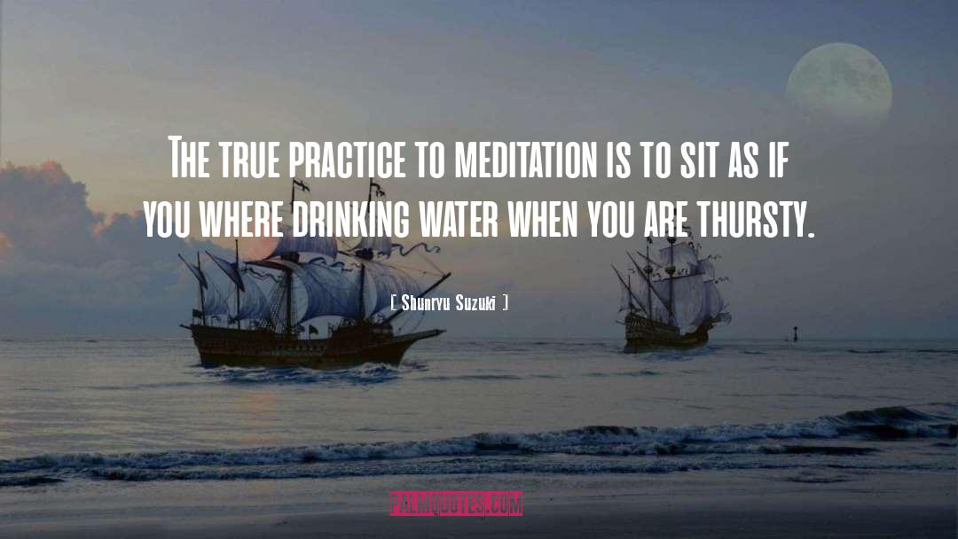 Shunryu Suzuki Quotes: The true practice to meditation