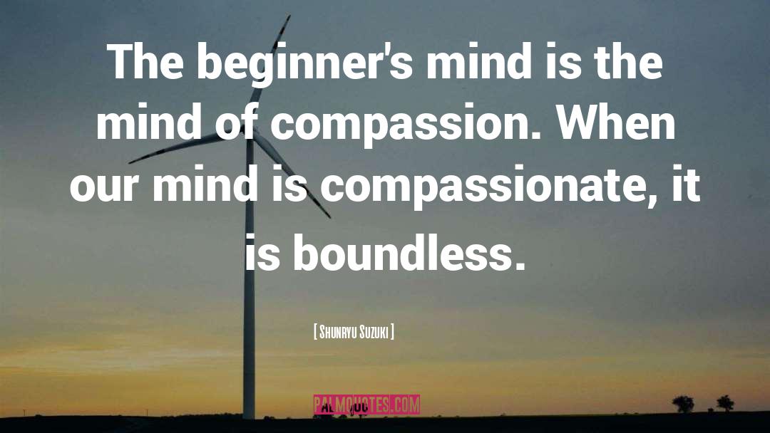Shunryu Suzuki Quotes: The beginner's mind is the