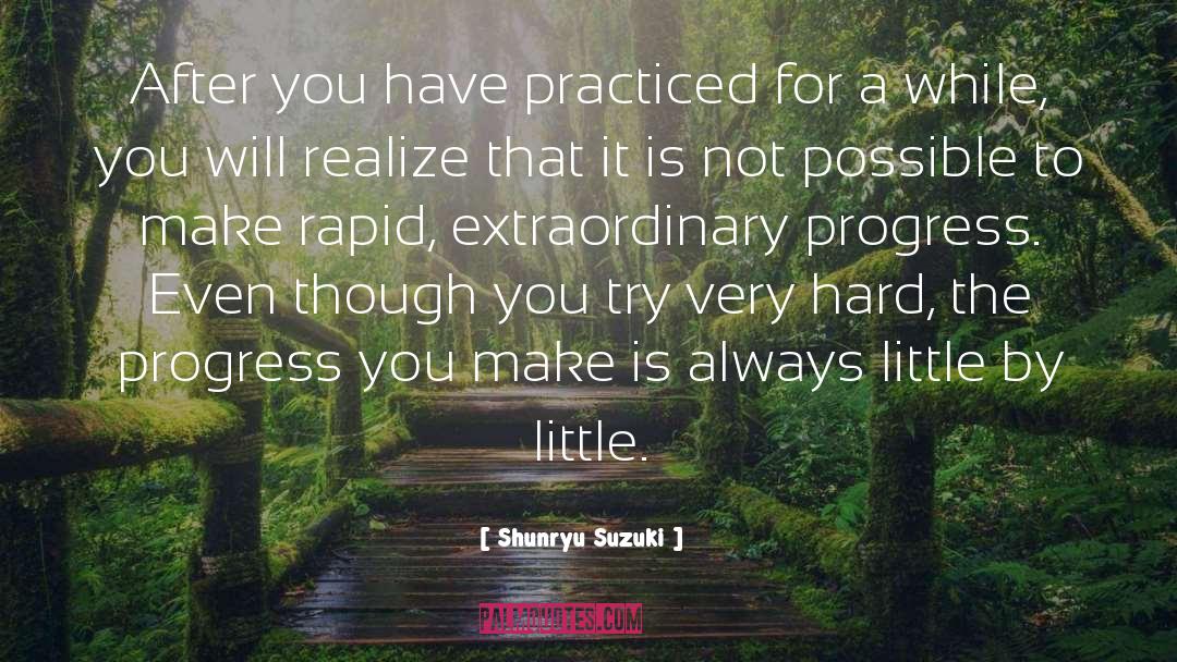 Shunryu Suzuki Quotes: After you have practiced for