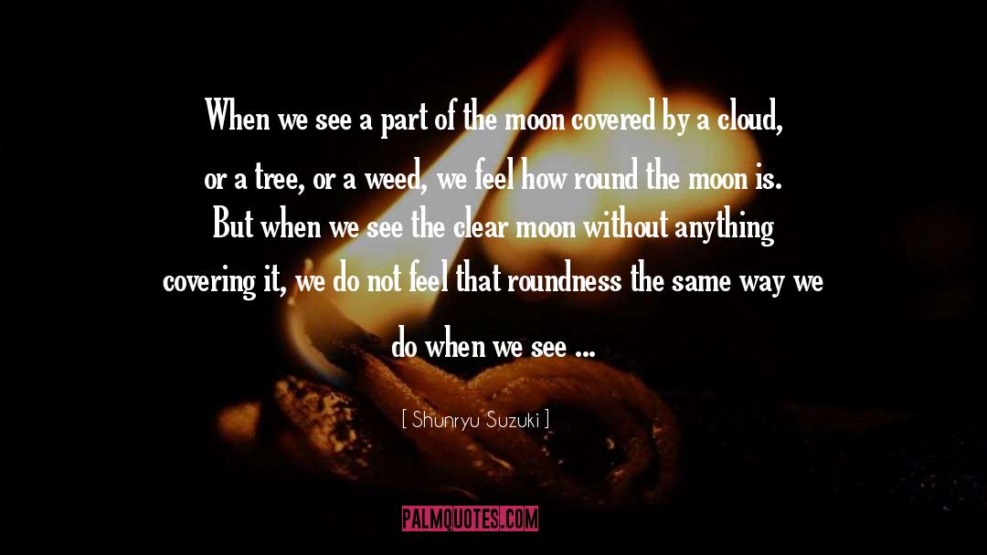 Shunryu Suzuki Quotes: When we see a part