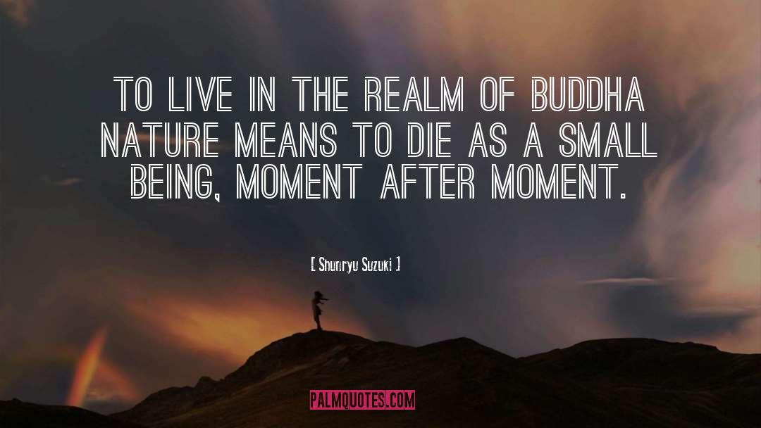 Shunryu Suzuki Quotes: To live in the realm