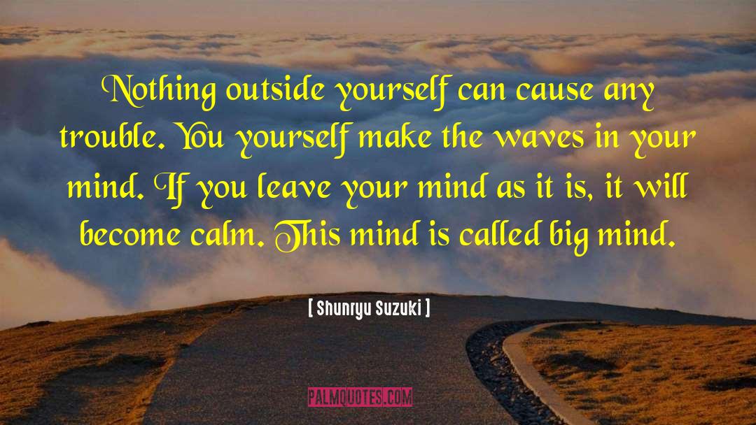 Shunryu Suzuki Quotes: Nothing outside yourself can cause