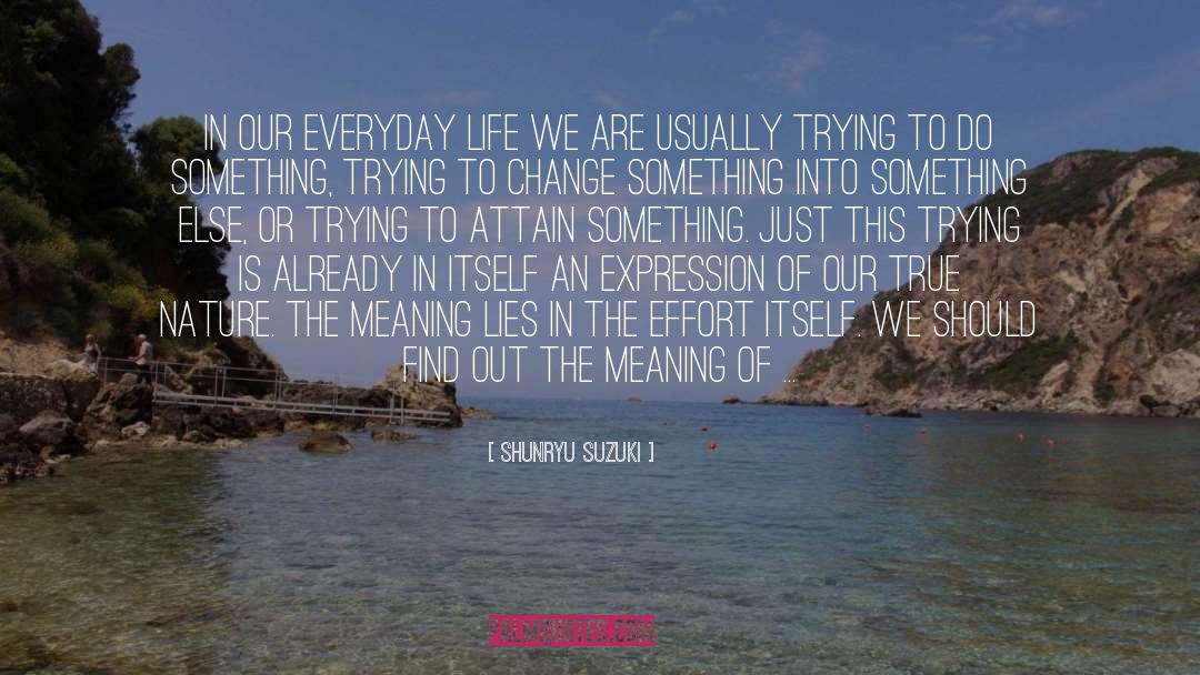 Shunryu Suzuki Quotes: In our everyday life we