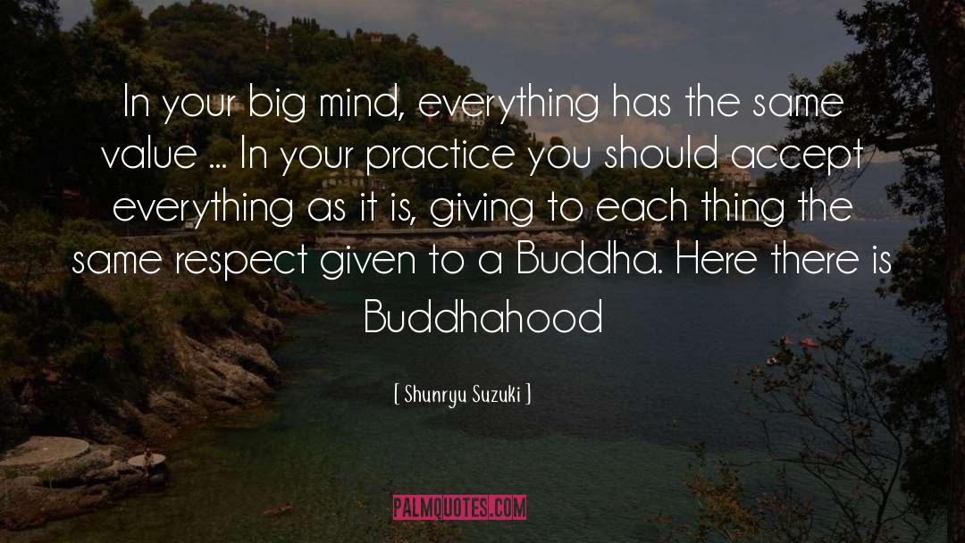 Shunryu Suzuki Quotes: In your big mind, everything