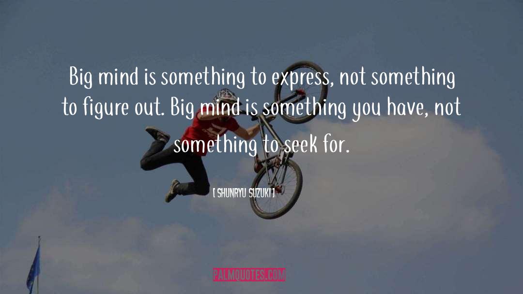 Shunryu Suzuki Quotes: Big mind is something to