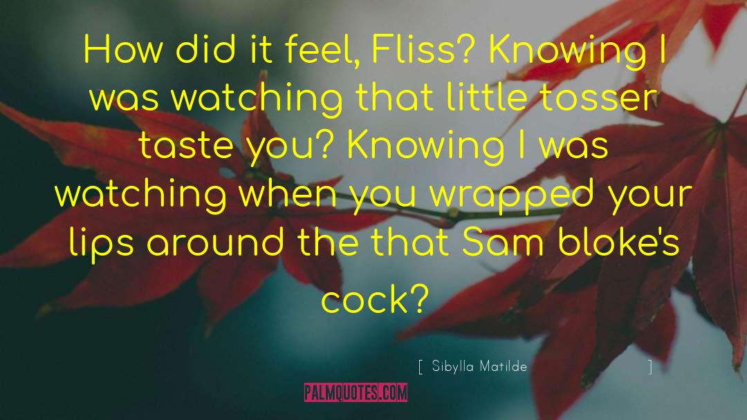 Sibylla Matilde Quotes: How did it feel, Fliss?