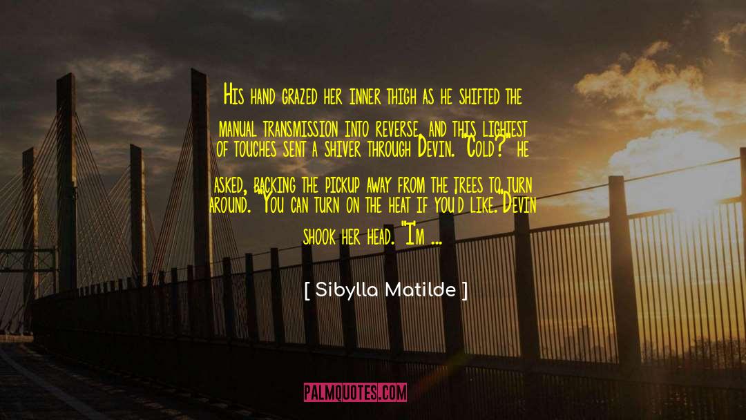 Sibylla Matilde Quotes: His hand grazed her inner