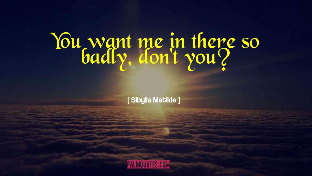 Sibylla Matilde Quotes: You want me in there