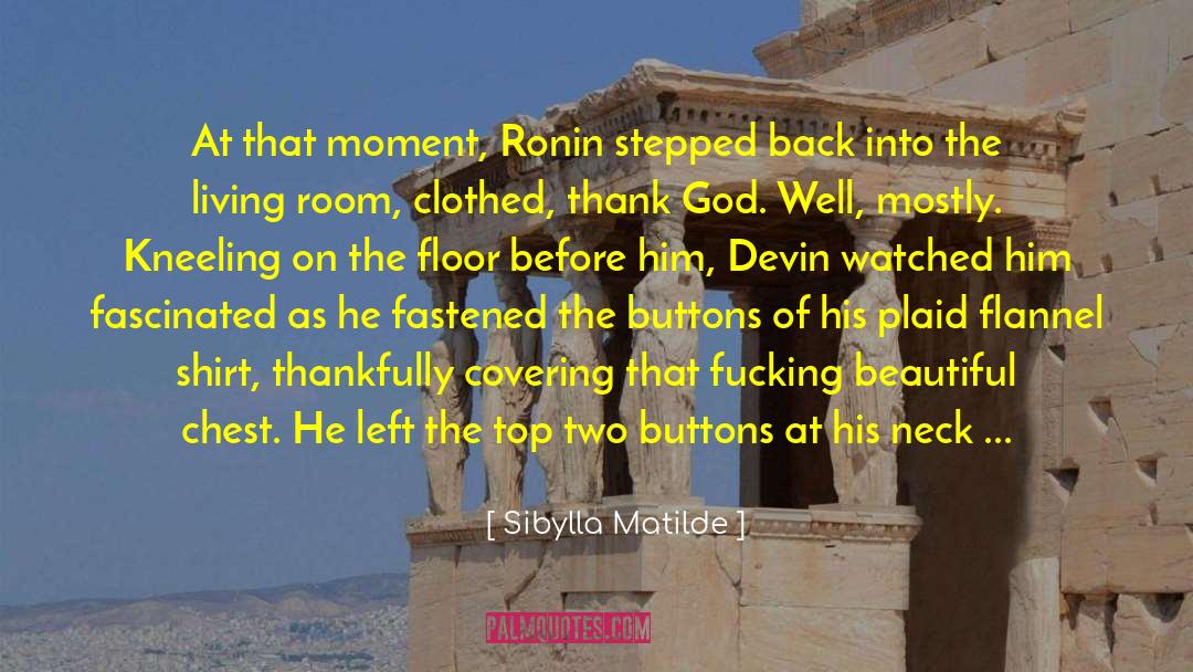Sibylla Matilde Quotes: At that moment, Ronin stepped