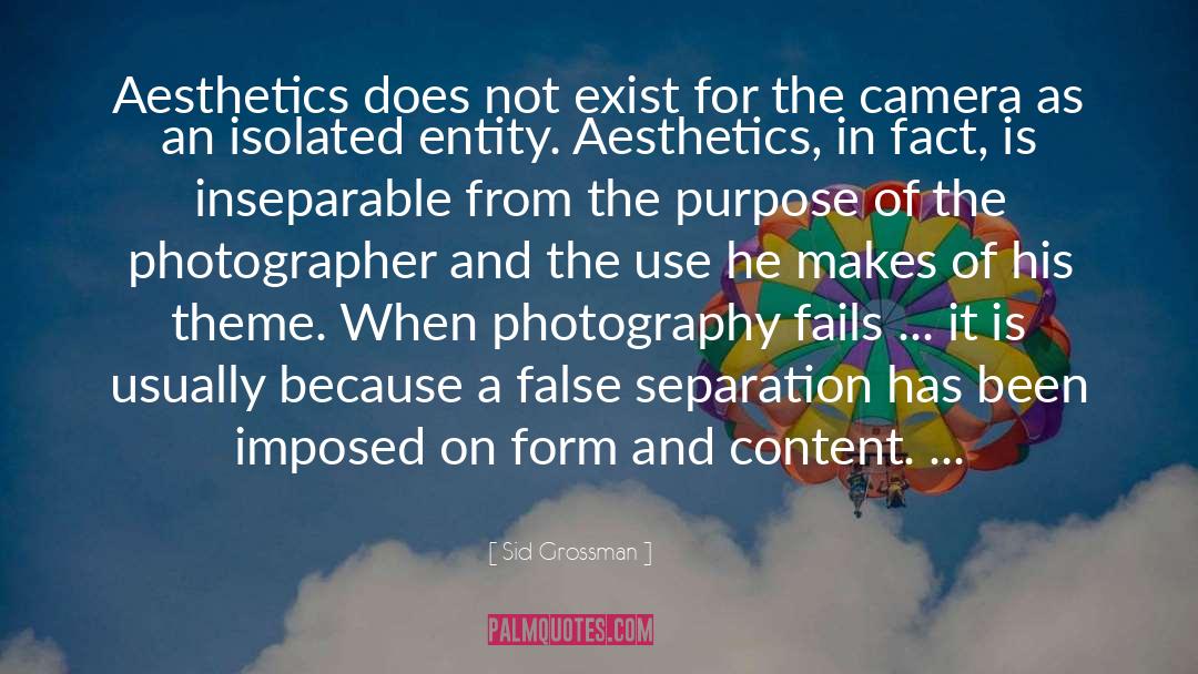 Sid Grossman Quotes: Aesthetics does not exist for