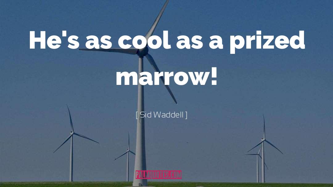 Sid Waddell Quotes: He's as cool as a