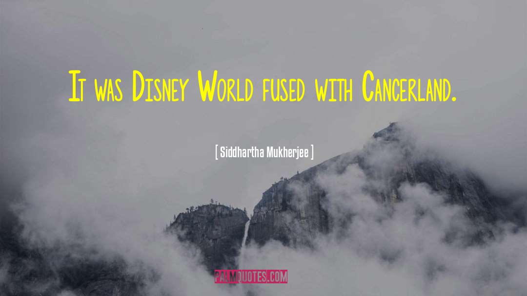 Siddhartha Mukherjee Quotes: It was Disney World fused