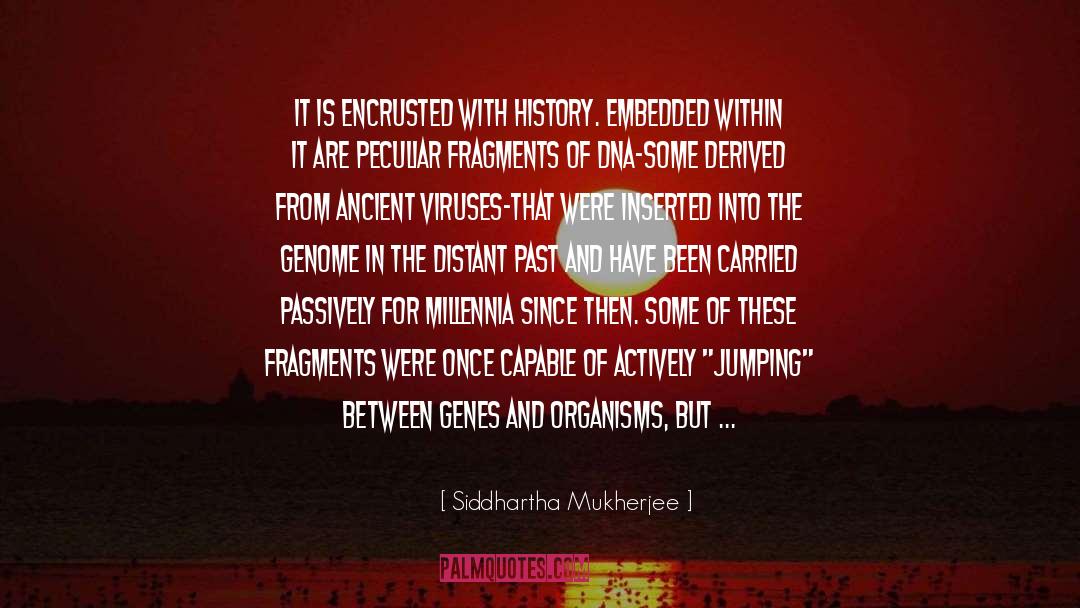 Siddhartha Mukherjee Quotes: It is encrusted with history.