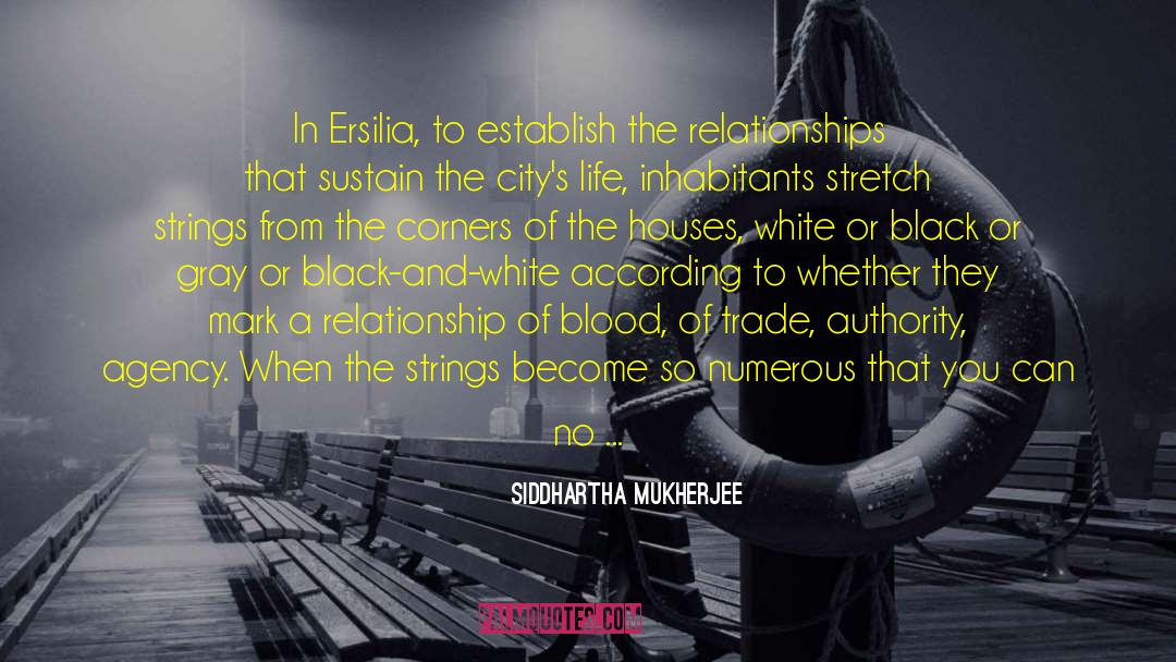 Siddhartha Mukherjee Quotes: In Ersilia, to establish the