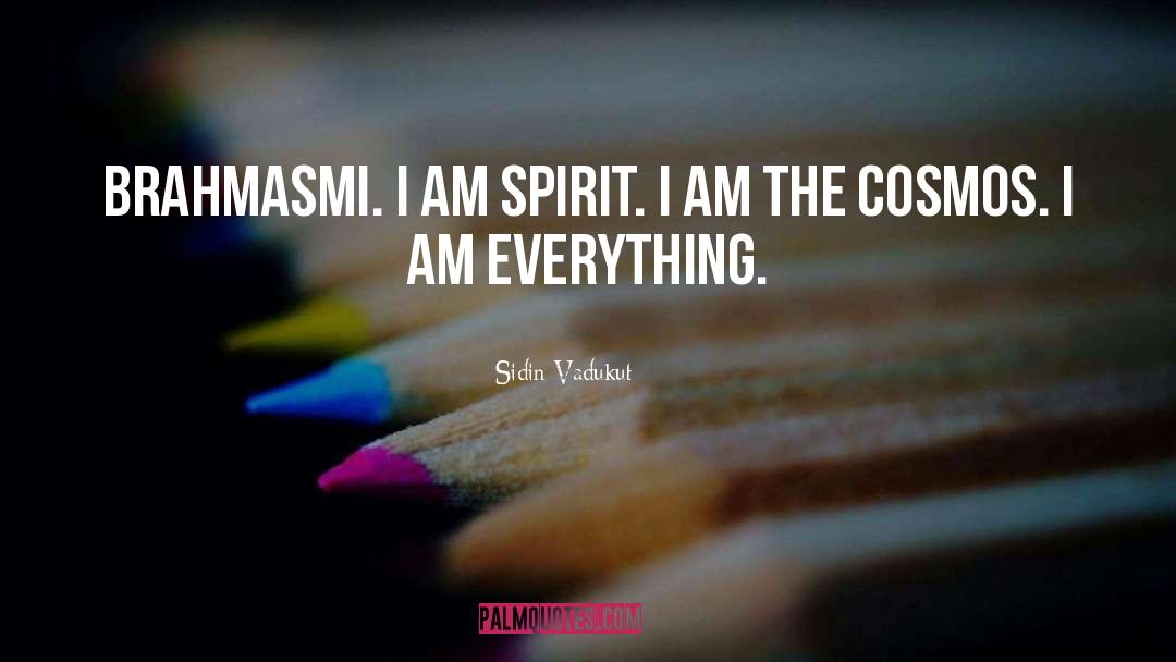 Sidin Vadukut Quotes: brahmasmi. I am spirit. I