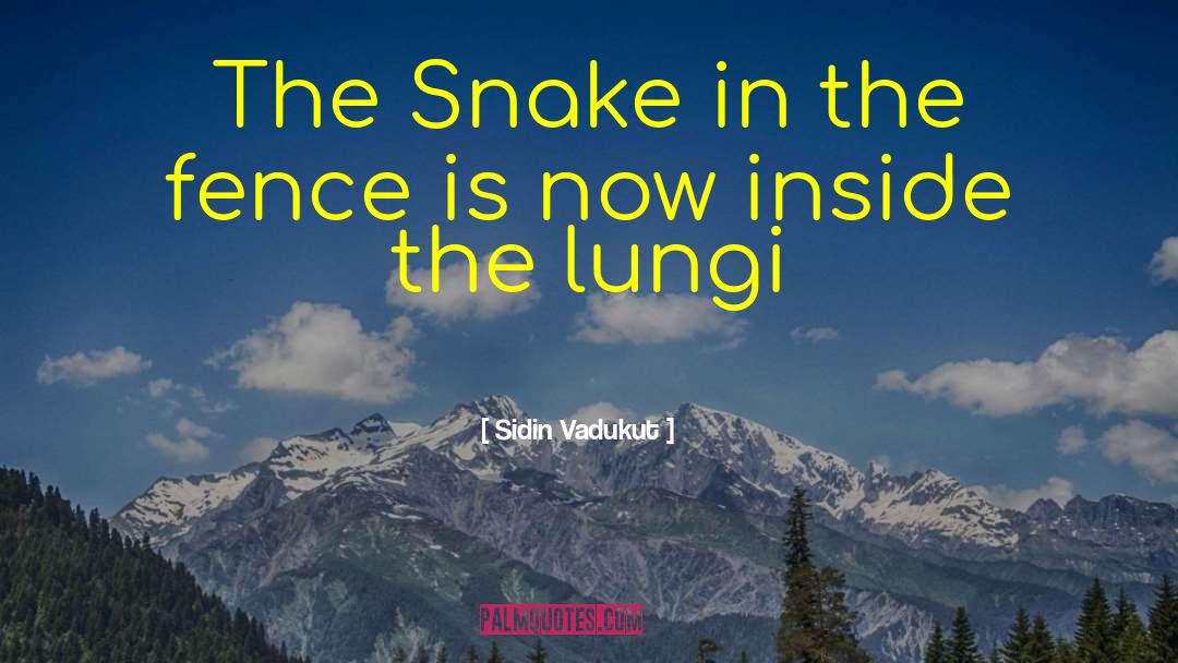 Sidin Vadukut Quotes: The Snake in the fence