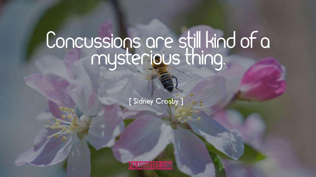 Sidney Crosby Quotes: Concussions are still kind of