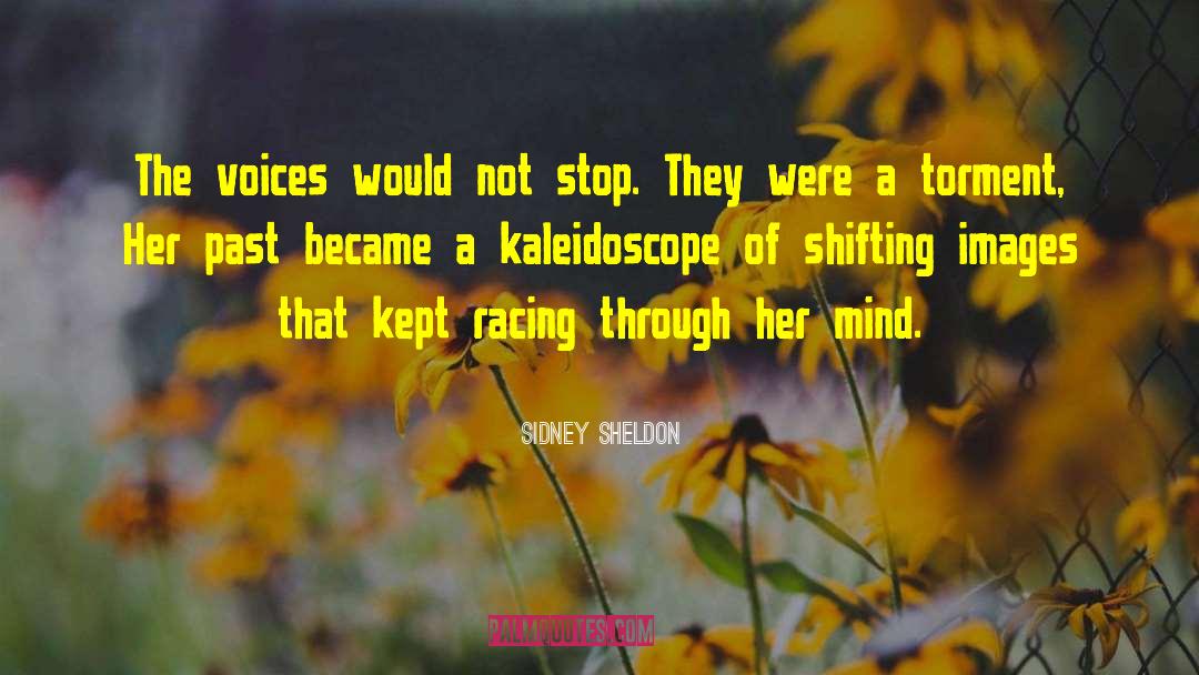 Sidney Sheldon Quotes: The voices would not stop.