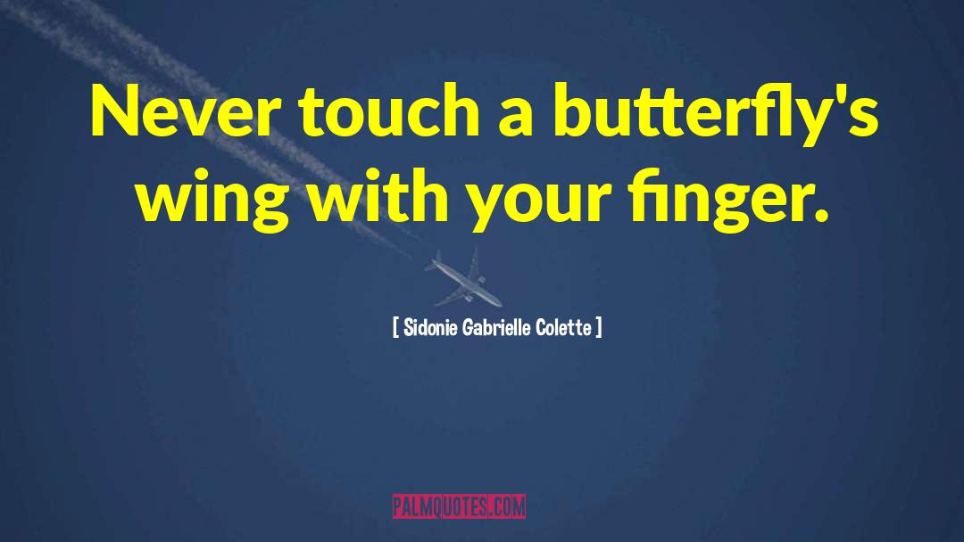 Sidonie Gabrielle Colette Quotes: Never touch a butterfly's wing