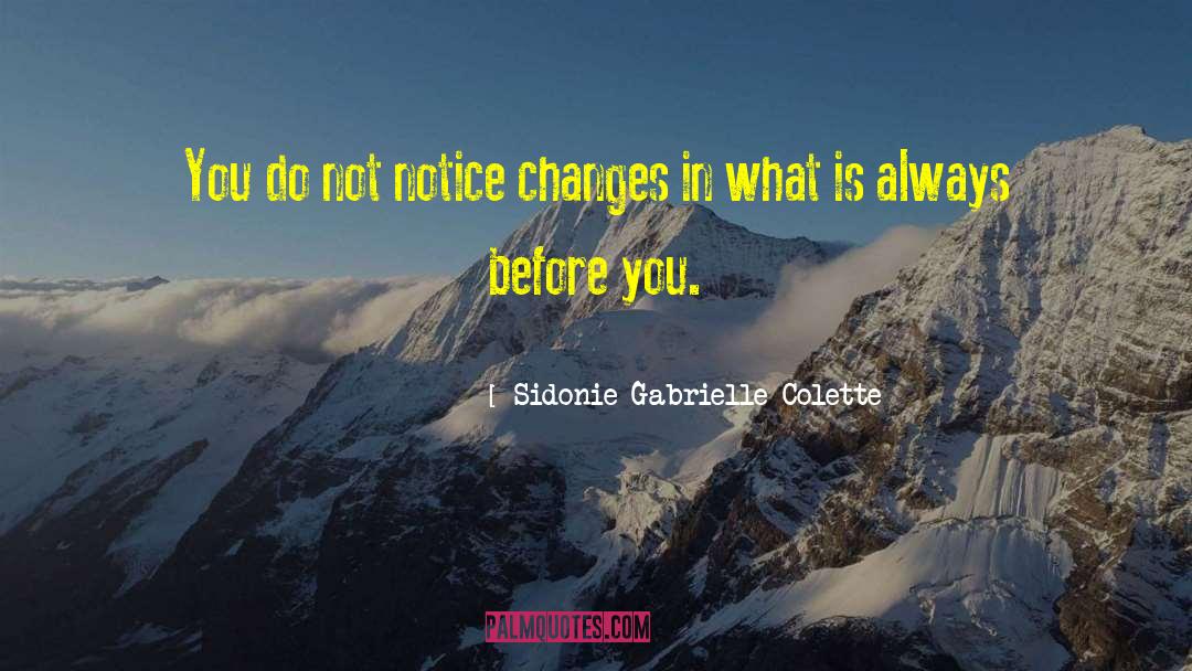 Sidonie Gabrielle Colette Quotes: You do not notice changes