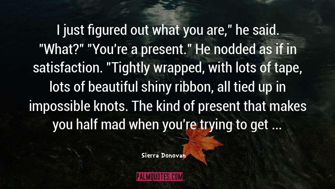 Sierra Donovan Quotes: I just figured out what