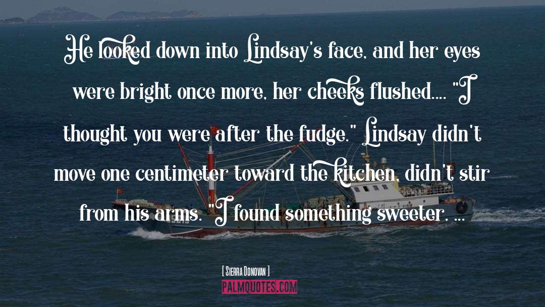 Sierra Donovan Quotes: He looked down into Lindsay's